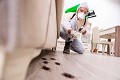 Twin City Termite Experts