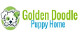 Goldendoodle PuppyHome
