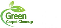 Rug & Carpet Cleaning Companies NYC