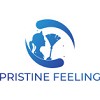 Pristine Feeling